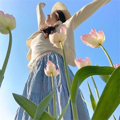 七鹰大厦宝藏