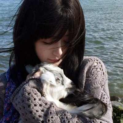 花落莺啼春